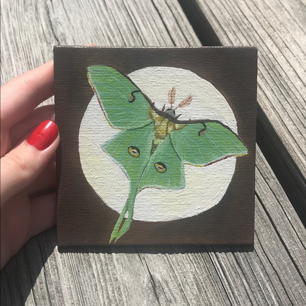 !Luna Moth Original Acrylic Painting Art!